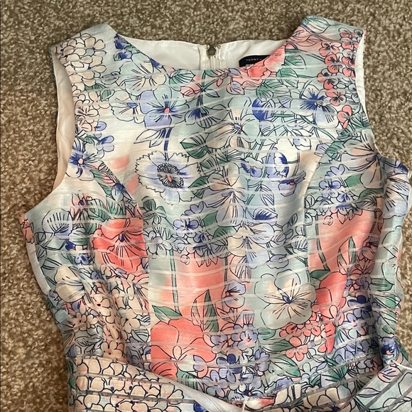 Tommy Hilfiger Pink and Blue Floral Striped Sleeveless Dress - Picture 3 of 7